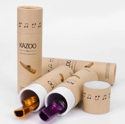 Kazoo gift boxes with colourful metal kazoos partially displayed – supports oral motor development and music-based therapy; potentially NDIS-funded